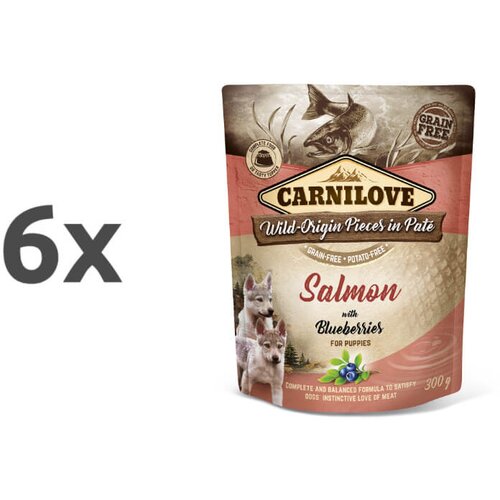 Carnilove dog puppy - losos &amp;amp; borovnica, vrečka 300g 6 x 300 g Slike
