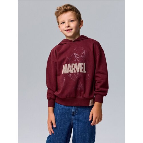 Sinsay Hoodie s tiskom Spider-Man Cijene