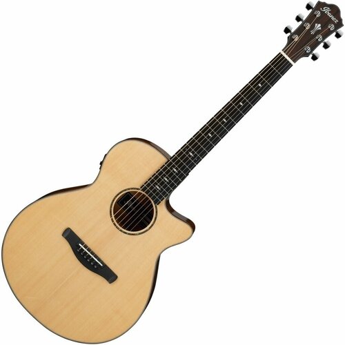 Ibanez AEG200-LGS Akustična gitara Slike