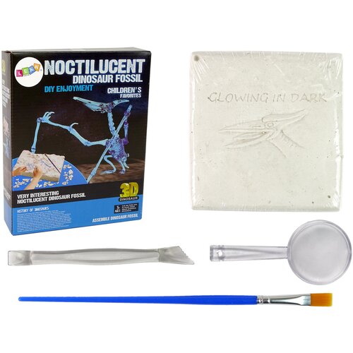  Archaeology Excavation Kit Dinosaur Skeleton Pteranodon 3D Hologram Cijene