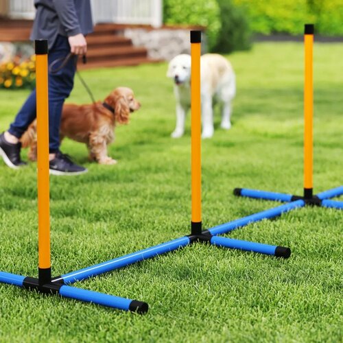  Agility set za pse 7 dijelova: Agility oprema za dresuru pasa set s preponama za igre i trening Slike