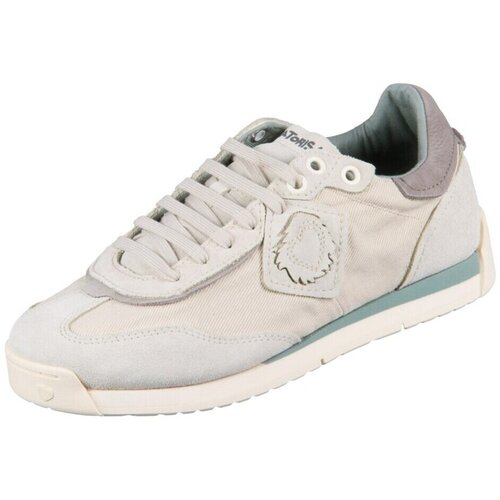 Satorisan Nizke superge Enso Gaia pisana Cene