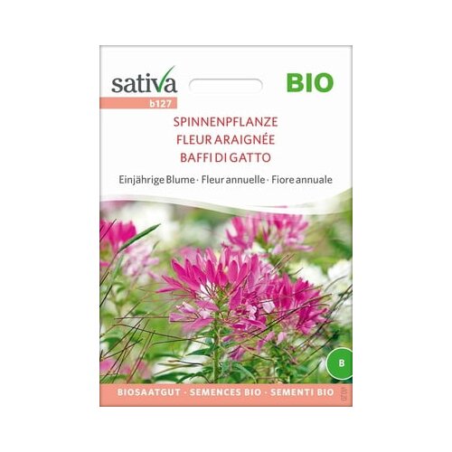 Sativa Bio enoletna cvetlica "Pajek rastlina" Cene
