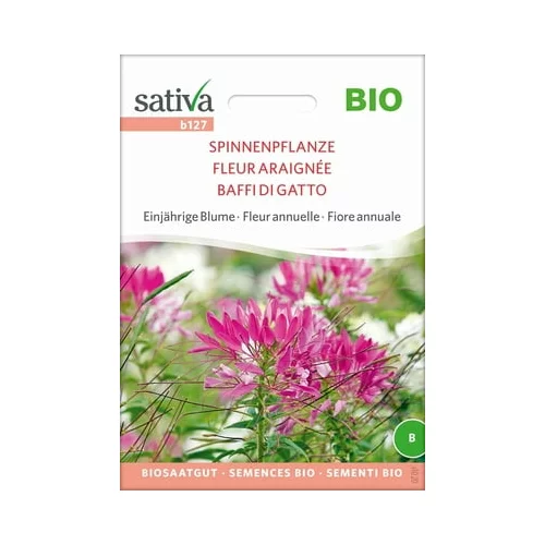 Sativa Bio enoletna cvetlica "Pajek rastlina"