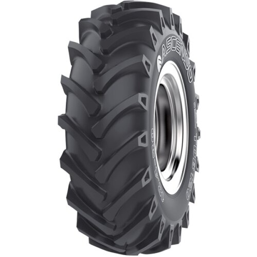 Ascenso 12.4-28 TDB120 8PR TT Cene