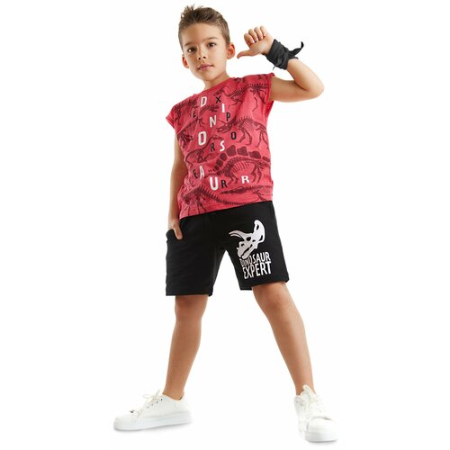 Mushi Dinosaur Expert Boys T-shirt Shorts Set Slike