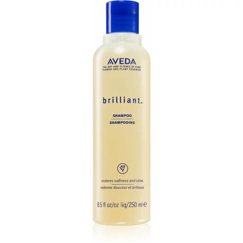Aveda Brilliant™ Shampoo šampon za kemijski tretiranu kosu 250 ml