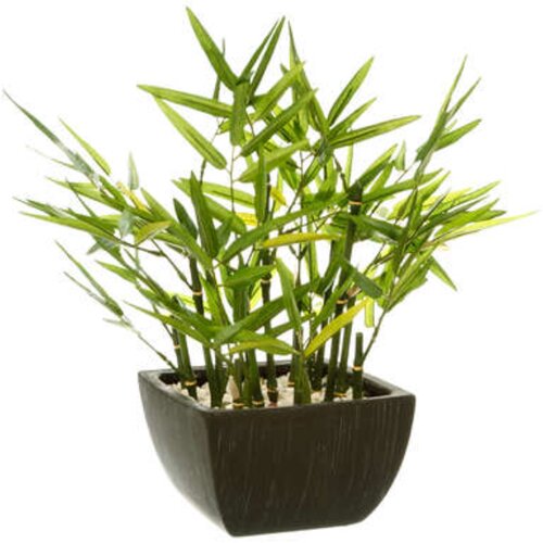 Atmosphera Umetna Roža Bamboo In Pot Cene