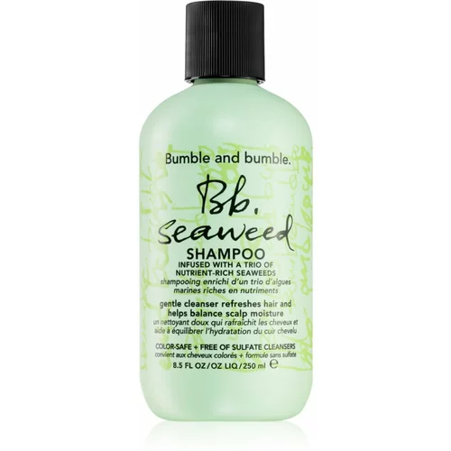 Bumble and Bumble Seaweed Shampoo šampon za kovrčavu kosu s ekstraktima morskih trava 250 ml