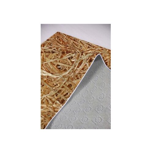Conceptum Hypnose Tepih staza (80x300) Hmnt561 Slike