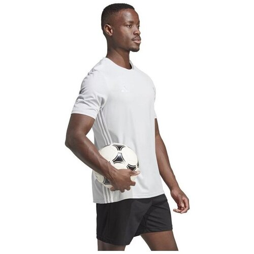 Adidas Majice s kratkimi rokavi Tabela 23 Jersey M Bela Slike