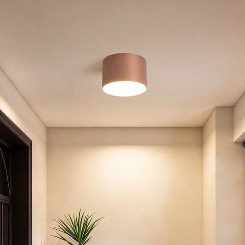 Brilagi Stropno svetlo za kupatilo FORIS LED/9W/230V prečnik 9 cm bronzana IP44 Slike