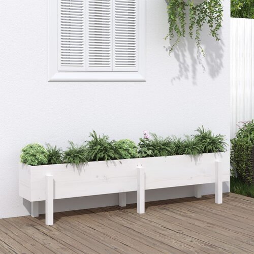 vidaXL Visoka greda bela 160x30x38 cm trdna borovina Cene
