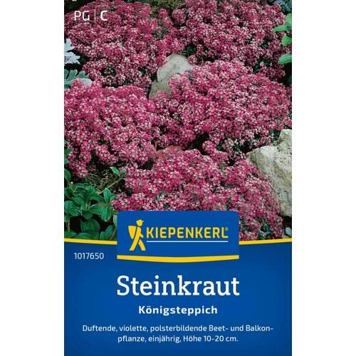KIEPENKERL Grobeljnik "Alyssum vijoličen" - 1 pkt. Cene