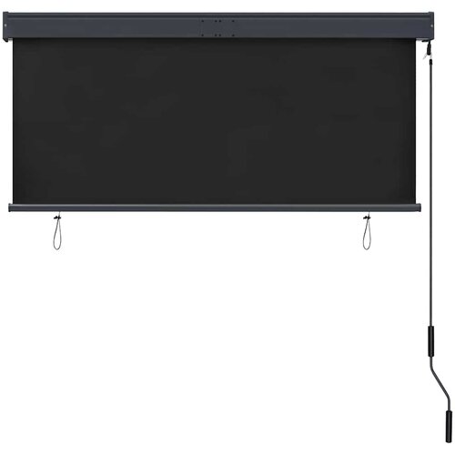  Vanjska roleta 140 x 250 cm antracit Slike