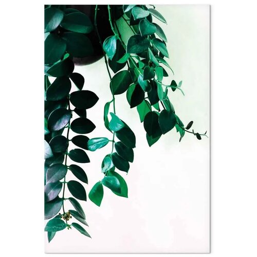  Slika - Corals of Nature (1 Part) Vertical 40x60 Slike