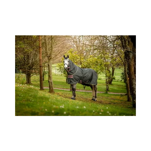 Horseware Ireland Pregrinjalo Amigo Hero Ripstop Plus Lite, Shadow/Rose & Navy - 160 cm