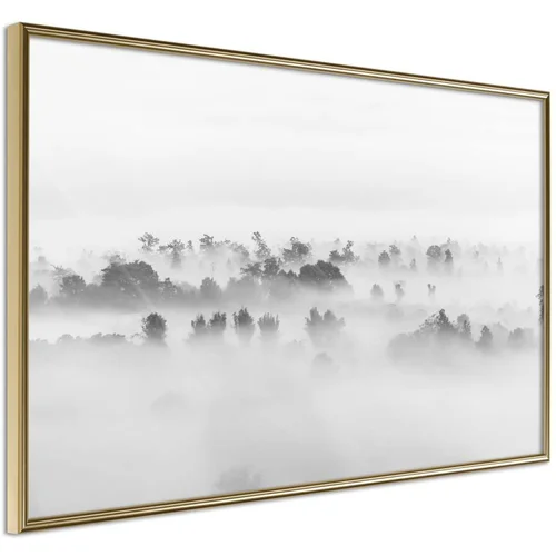  Poster - Fog Over the Forest 60x40