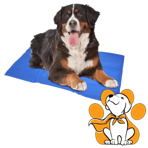 DUVO+ Cooling Mat XXL 120x80cm, Rashladna Podloga Za Pse, Plava Cene