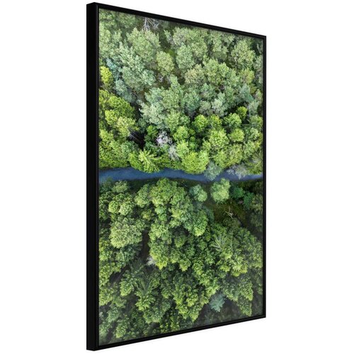  Poster - Forest from a Bird's Eye View 20x30 Cijene