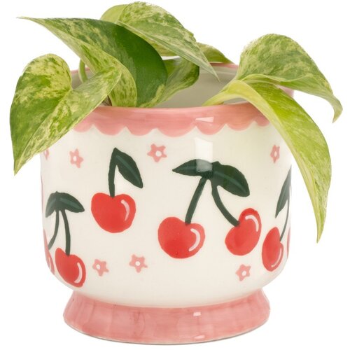 Sass &amp;amp; Belle Keramičen okrasni cvetlični lonec &amp;oslash; 7,5 cm Fruit &amp;ndash; Slike