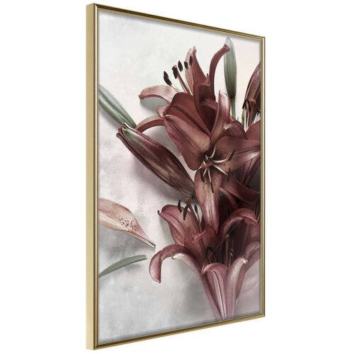  Poster - Burgundy Solace 30x45 Slike