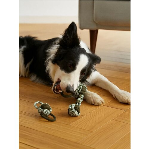 Sinsay Igračke za pse 2 pakiranja Cijene