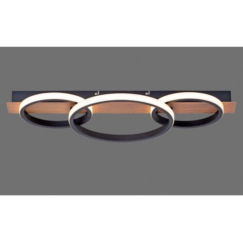 PAUL NEUHAUS Leuchten Direkt 15616-78 - LED plafonsko svetlo TROOPER LED/37W/230V Slike