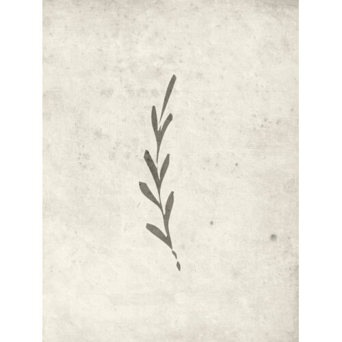 Venture Home poster Autumn Leaf 30 × 40 cm, bež Cene