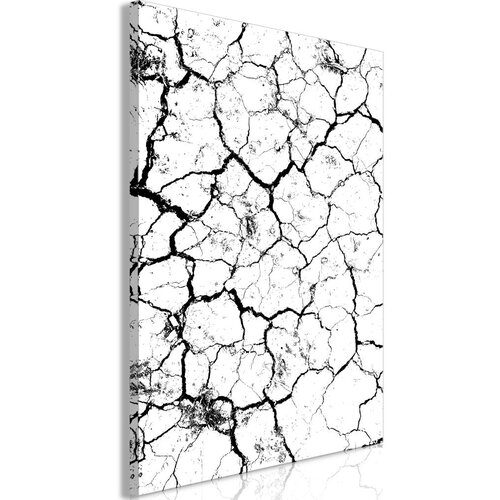  Slika - Cracked Earth (1 Part) Vertical 80x120 Slike