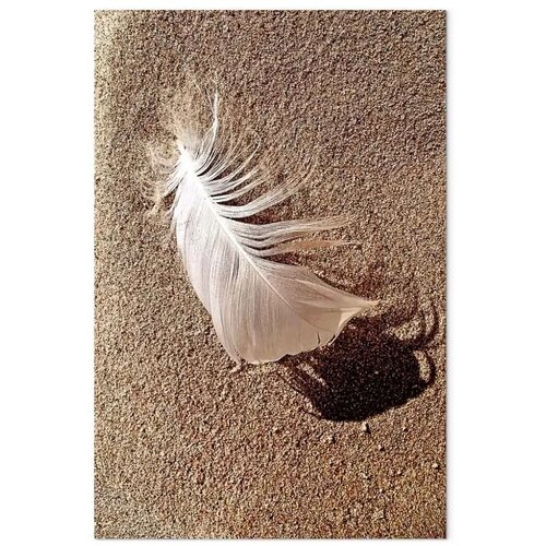  Slika - Feather on the Sand (1 Part) Vertical 40x60 Slike