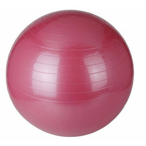 Capriolo pilates lopta 75cm pink 291360-P Cene