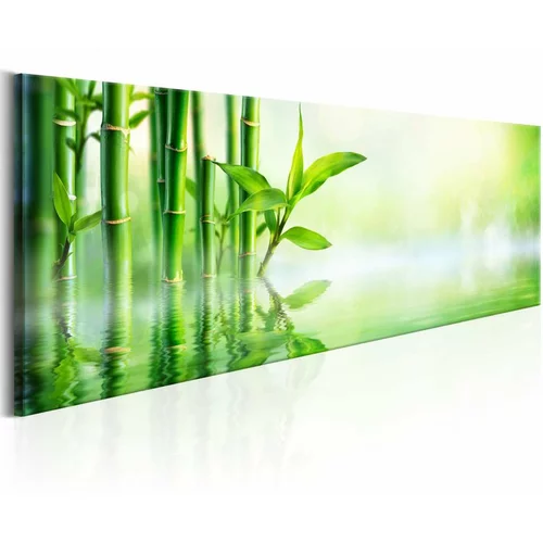  Slika - Green Bamboo 150x50
