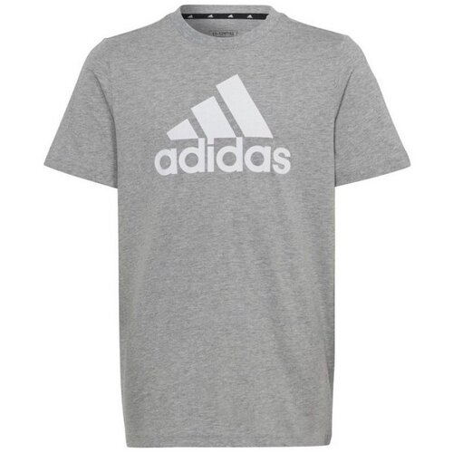 Adidas Majice s kratkimi rokavi Big Logo Tee JR Siva Slike