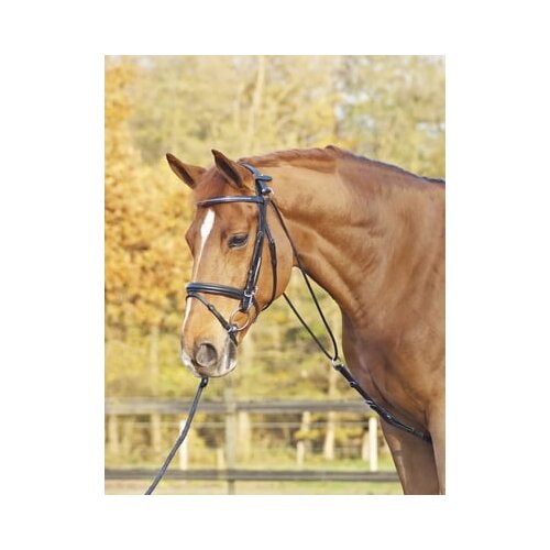 Busse Chambon BASIC Slike
