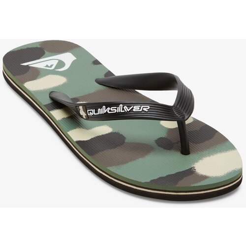 Quiksilver Men's flip-flops MOLOKAI ART Cene