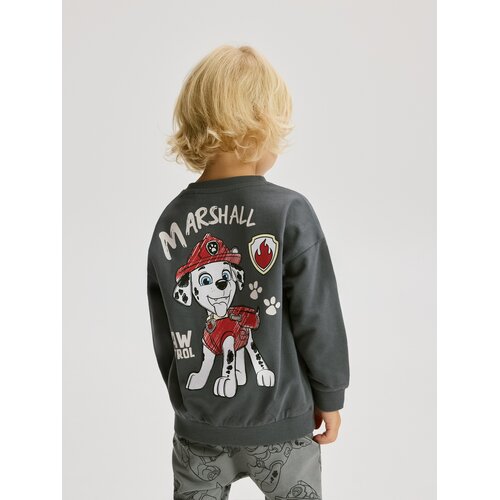 Reserved Bluza dugih rukava PAW Patrol - tamnosivo Cijene