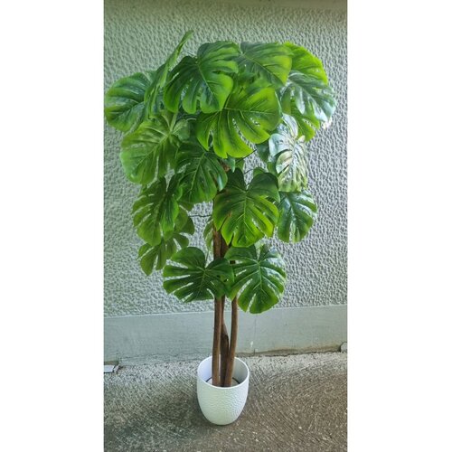 Lilium stablo monstera 155 cm GF141004 Cene
