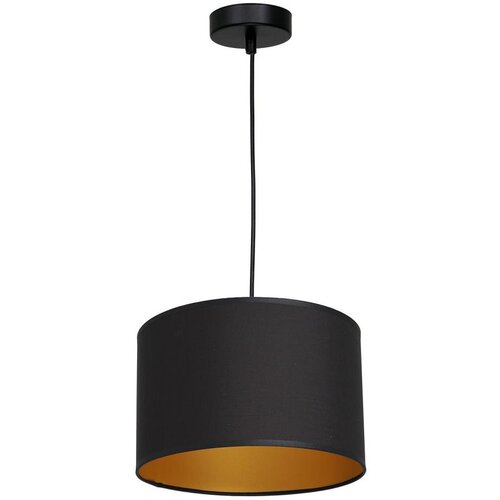  Luster na sajli ARDEN 1xE27/60W/230V Ø 25 cm crna/zlatna Cene