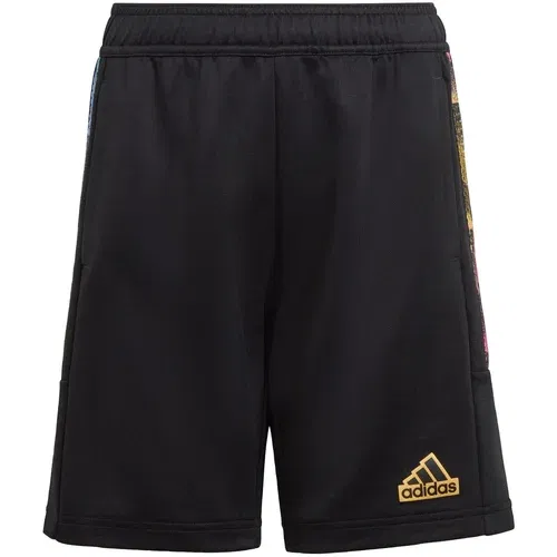 ADIDAS SPORTSWEAR Športne hlače 'Tiro Summer' svetlo modra / zlato-rumena / roza / črna