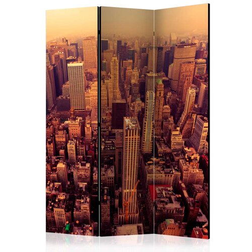  Paravan u 3 dijela - Bird Eye View Of Manhattan New York [Room Dividers] 135x172 Slike