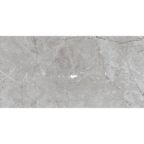 Pomona Grey 25x50 (5288) Slike