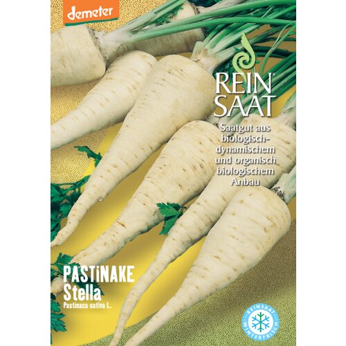 ReinSaat Pastinak "Stella" - 1 pkt. Cene
