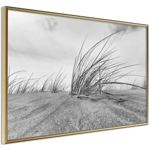  Poster - Seaside Dunes 90x60