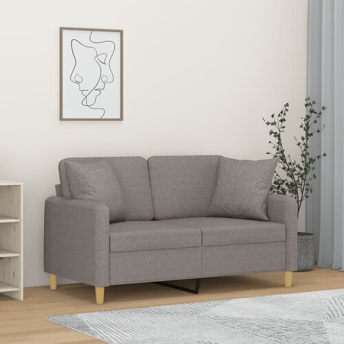  The Living Store Kavč dvosed z blazinami svetlo siv 120 cm blago - Kavč Dvosed, (21494408) Cene