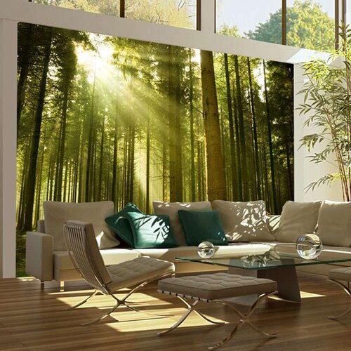  Tapeta - Pine forest 300x231 Slike