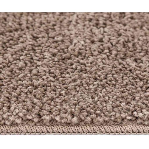  Protuklizni Shaggy Tepih Smeđa 240 x 340 cm PP Slike