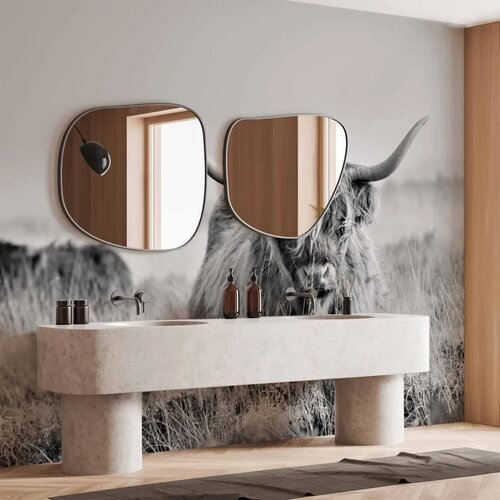  Foto tapeta - Highland Cattle 350x256 Vodootporna Slike