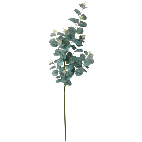  Rezano cvijeće grana eukaliptusa 94 cm 31368004 Cijene
