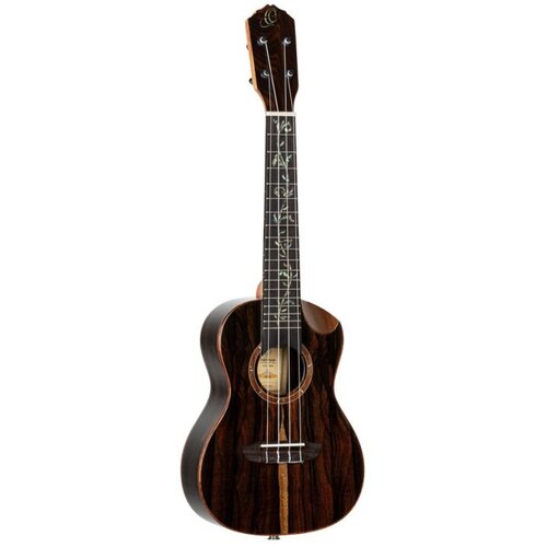 AUDIO KONDRIC Ukulele Ortega RUET-ZC+Torba - - Audio-Kondric Cene